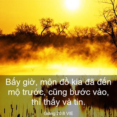 Picture 03 - Giăng 20:8 VIE - Bấy giờ, môn đồ kia đã đến mộ - Bible Verse Picture