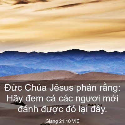 Picture 03 - Giăng 21:10 VIE - Đức Chúa Jêsus phán rằng: Hãy đem cá - Bible Verse Picture