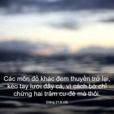Picture 03 - Giăng 21:8 VIE - Các môn đồ khác đem thuyền trở lại, - Bible Verse Picture