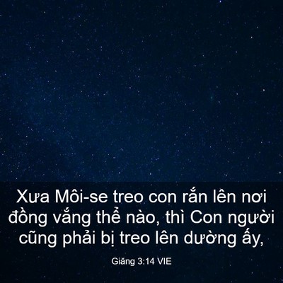 Picture 03 - Giăng 3:14 VIE - Xưa Môi-se treo con rắn lên nơi đồng - Bible Verse Picture