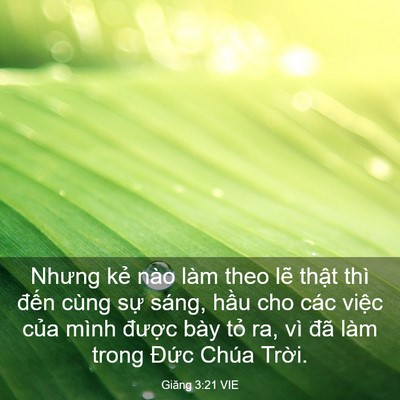 Picture 03 - Giăng 3:21 VIE - Nhưng kẻ nào làm theo lẽ thật thì - Bible Verse Picture