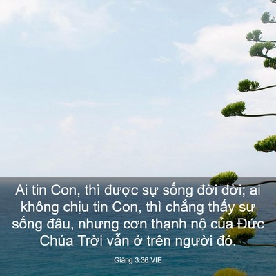 Picture 03 - Giăng 3:36 VIE - Ai tin Con, thì được sự sống đời - Bible Verse Picture