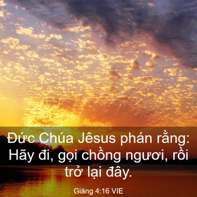 Picture 03 - Giăng 4:16 VIE - Đức Chúa Jêsus phán rằng: Hãy đi, gọi - Bible Verse Picture