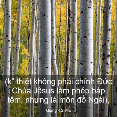 Picture 03 - Giăng 4:2 VIE - (k” thiệt không phải chính Đức Chúa - Bible Verse Picture