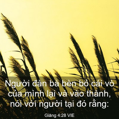 Picture 03 - Giăng 4:28 VIE - Người đàn bà bèn bỏ cái vò của mình - Bible Verse Picture