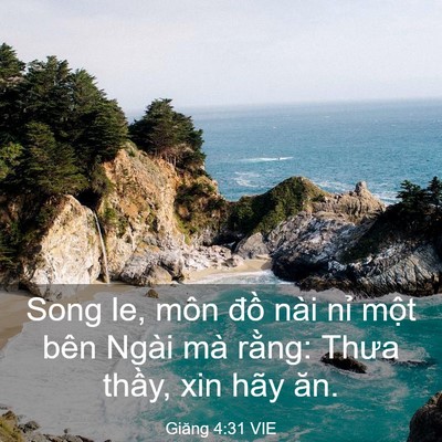 Picture 03 - Giăng 4:31 VIE - Song le, môn đồ nài nỉ một bên Ngài - Bible Verse Picture