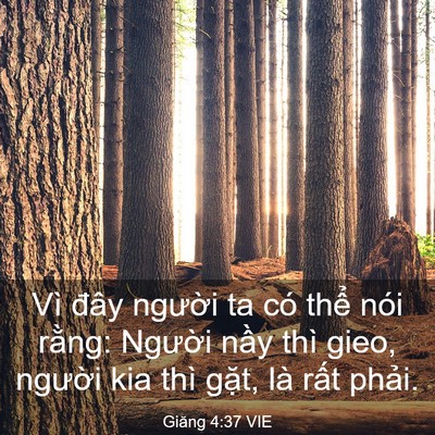 Picture 03 - Giăng 4:37 VIE - Vì đây người ta có thể nói rằng: - Bible Verse Picture