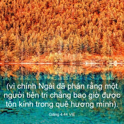 Picture 03 - Giăng 4:44 VIE - (vì chính Ngài đã phán rằng một - Bible Verse Picture