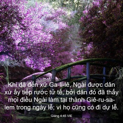 Picture 03 - Giăng 4:45 VIE - Khi đã đến xứ Ga-li-lê, Ngài được - Bible Verse Picture