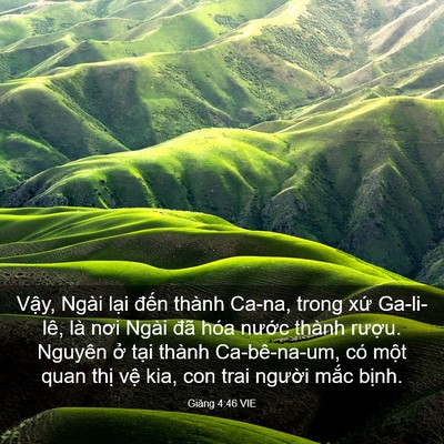 Picture 03 - Giăng 4:46 VIE - Vậy, Ngài lại đến thành Ca-na, trong - Bible Verse Picture