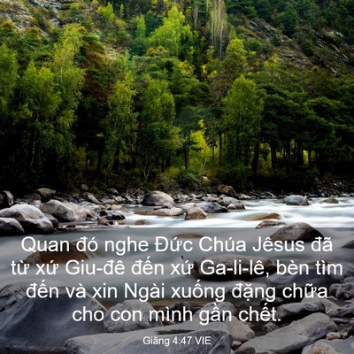 Picture 03 - Giăng 4:47 VIE - Quan đó nghe Đức Chúa Jêsus đã từ xứ - Bible Verse Picture