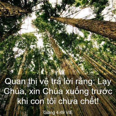 Picture 03 - Giăng 4:49 VIE - Quan thị vệ trả lời rằng: Lạy Chúa, - Bible Verse Picture