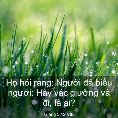 Picture 03 - Giăng 5:12 VIE - Họ hỏi rằng: Người đã biểu ngươi: - Bible Verse Picture