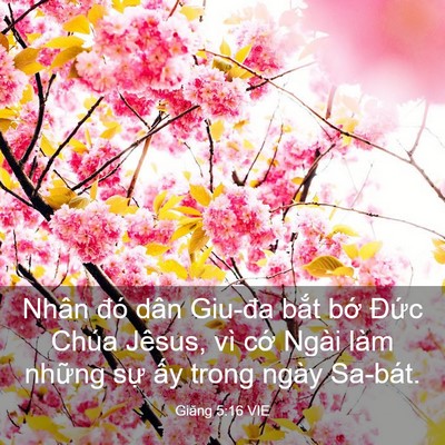 Picture 03 - Giăng 5:16 VIE - Nhân đó dân Giu-đa bắt bớ Đức Chúa - Bible Verse Picture