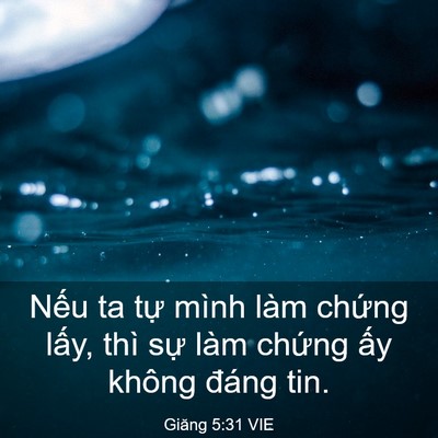 Picture 03 - Giăng 5:31 VIE - Nếu ta tự mình làm chứng lấy, thì sự - Bible Verse Picture