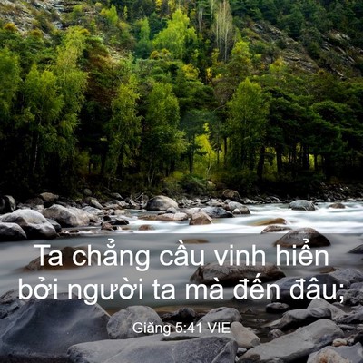 Picture 03 - Giăng 5:41 VIE - Ta chẳng cầu vinh hiển bởi người ta - Bible Verse Picture