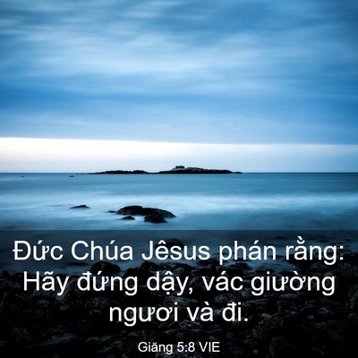 Picture 03 - Giăng 5:8 VIE - Đức Chúa Jêsus phán rằng: Hãy đứng - Bible Verse Picture