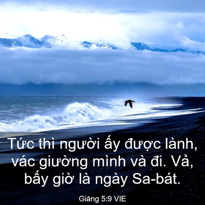 Picture 03 - Giăng 5:9 VIE - Tức thì người ấy được lành, vác - Bible Verse Picture