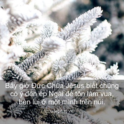 Picture 03 - Giăng 6:15 VIE - Bấy giờ Đức Chúa Jêsus biết chúng có - Bible Verse Picture