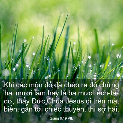 Picture 03 - Giăng 6:19 VIE - Khi các môn đồ đã chèo ra độ chừng - Bible Verse Picture
