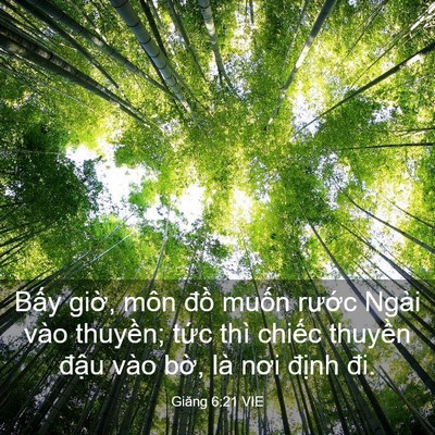 Picture 03 - Giăng 6:21 VIE - Bấy giờ, môn đồ muốn rước Ngài vào - Bible Verse Picture
