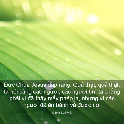 Picture 03 - Giăng 6:26 VIE - Đức Chúa Jêsus đáp rằng: Quả thật, - Bible Verse Picture