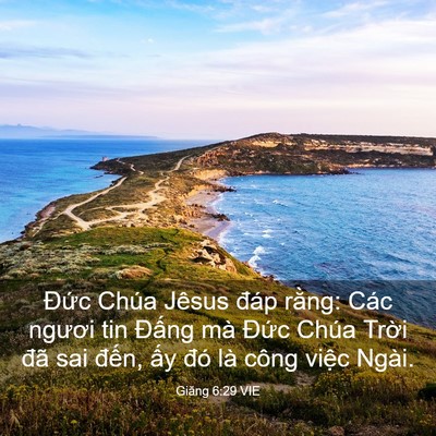Picture 03 - Giăng 6:29 VIE - Đức Chúa Jêsus đáp rằng: Các ngươi - Bible Verse Picture