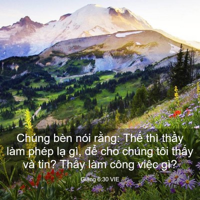 Picture 03 - Giăng 6:30 VIE - Chúng bèn nói rằng: Thế thì thầy làm - Bible Verse Picture