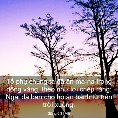 Picture 03 - Giăng 6:31 VIE - Tổ phụ chúng ta đã ăn ma-na trong đồng - Bible Verse Picture