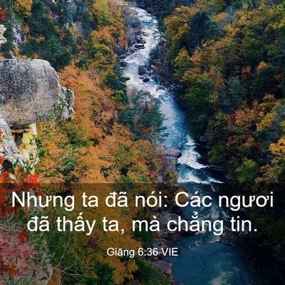 Picture 03 - Giăng 6:36 VIE - Nhưng ta đã nói: Các ngươi đã thấy ta, - Bible Verse Picture