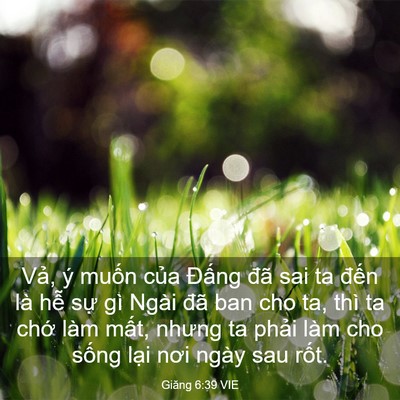 Picture 03 - Giăng 6:39 VIE - Vả, ý muốn của Đấng đã sai ta đến - Bible Verse Picture