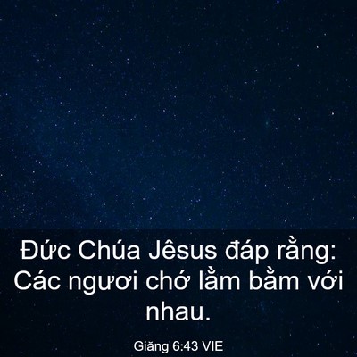 Picture 03 - Giăng 6:43 VIE - Đức Chúa Jêsus đáp rằng: Các ngươi - Bible Verse Picture