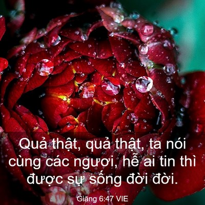 Picture 03 - Giăng 6:47 VIE - Quả thật, quả thật, ta nói cùng các - Bible Verse Picture