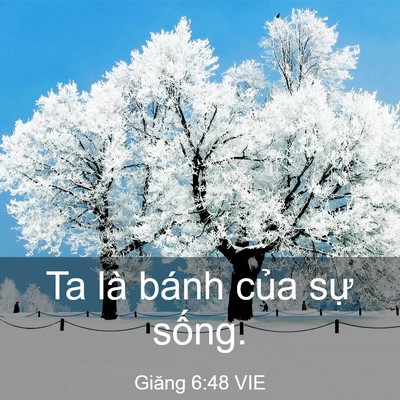 Picture 03 - Giăng 6:48 VIE - Ta là bánh của sự - Bible Verse Picture