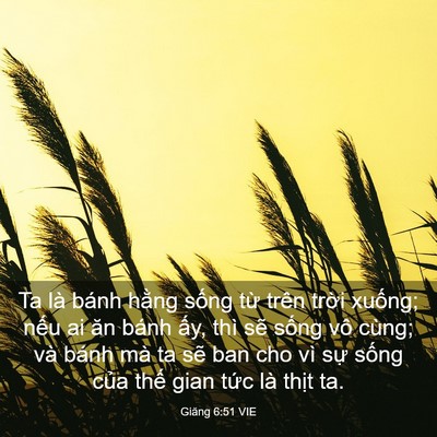 Picture 03 - Giăng 6:51 VIE - Ta là bánh hằng sống từ trên trời - Bible Verse Picture