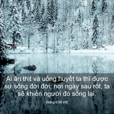Picture 03 - Giăng 6:54 VIE - Ai ăn thịt và uống huyết ta thì được - Bible Verse Picture