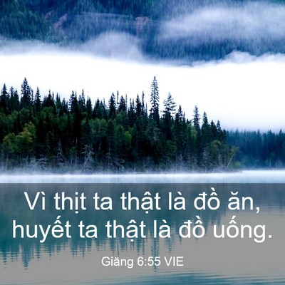 Picture 03 - Giăng 6:55 VIE - Vì thịt ta thật là đồ ăn, huyết ta - Bible Verse Picture