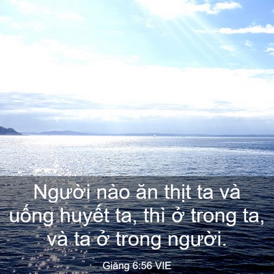 Picture 03 - Giăng 6:56 VIE - Người nào ăn thịt ta và uống huyết - Bible Verse Picture