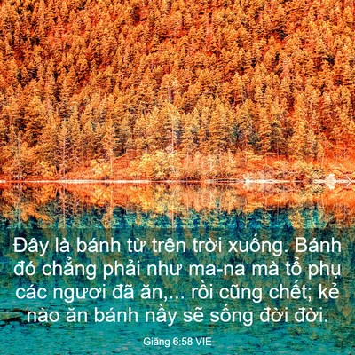 Picture 03 - Giăng 6:58 VIE - Đây là bánh từ trên trời xuống. Bánh - Bible Verse Picture