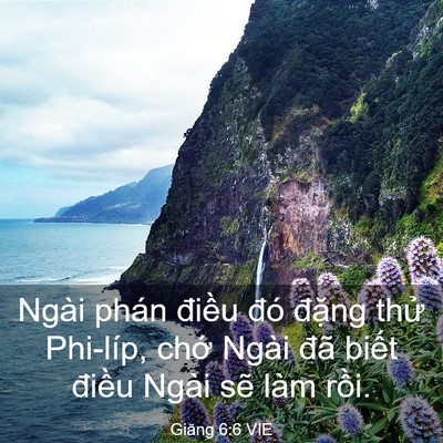 Picture 03 - Giăng 6:6 VIE - Ngài phán điều đó đặng thử Phi-líp, - Bible Verse Picture