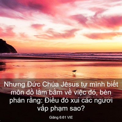 Picture 03 - Giăng 6:61 VIE - Nhưng Đức Chúa Jêsus tự mình biết môn - Bible Verse Picture
