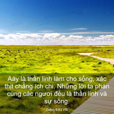 Picture 03 - Giăng 6:63 VIE - Aáy là thần linh làm cho sống, xác thịt - Bible Verse Picture
