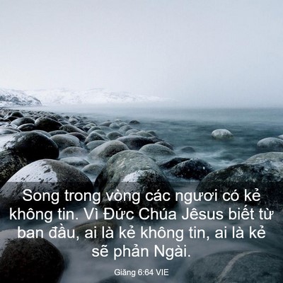 Picture 03 - Giăng 6:64 VIE - Song trong vòng các ngươi có kẻ không - Bible Verse Picture