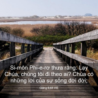 Picture 03 - Giăng 6:68 VIE - Si-môn Phi-e-rơ thưa rằng: Lạy Chúa, - Bible Verse Picture