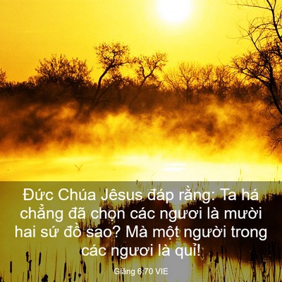 Picture 03 - Giăng 6:70 VIE - Đức Chúa Jêsus đáp rằng: Ta há chẳng - Bible Verse Picture