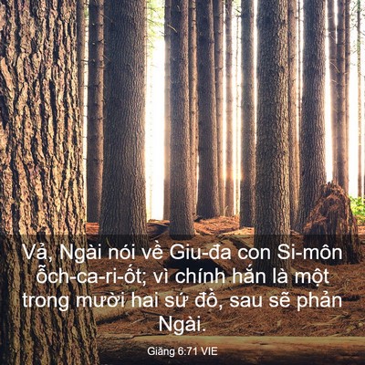 Picture 03 - Giăng 6:71 VIE - Vả, Ngài nói về Giu-đa con Si-môn - Bible Verse Picture