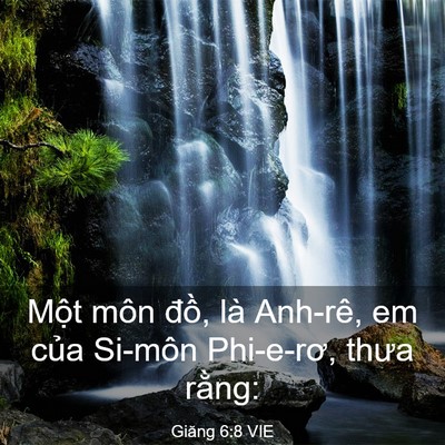 Picture 03 - Giăng 6:8 VIE - Một môn đồ, là Anh-rê, em của Si-môn - Bible Verse Picture