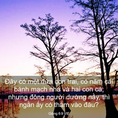 Picture 03 - Giăng 6:9 VIE - Đây có một đứa con trai, có năm cái - Bible Verse Picture