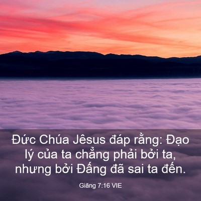 Picture 03 - Giăng 7:16 VIE - Đức Chúa Jêsus đáp rằng: Đạo lý - Bible Verse Picture