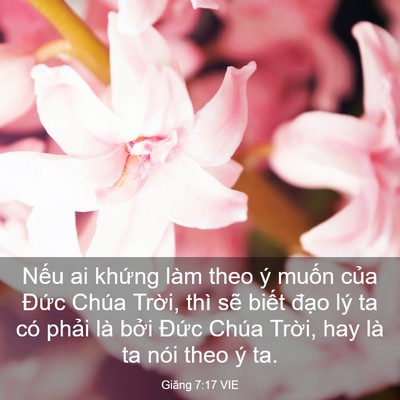 Picture 03 - Giăng 7:17 VIE - Nếu ai khứng làm theo ý muốn của Đức - Bible Verse Picture